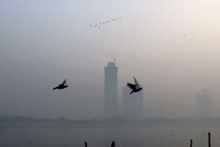 Smog Chokes Delhi After Diwali Night