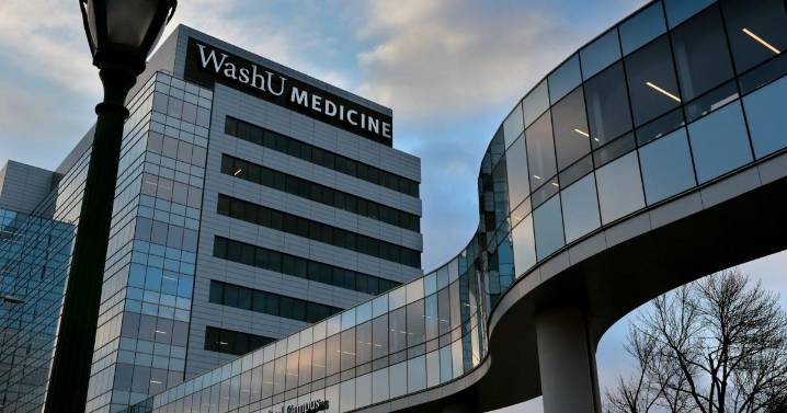 Washington University cuts 300 jobs, 200 vacancies