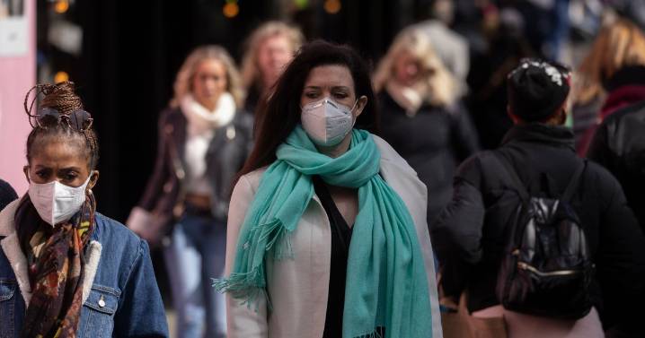 'Covid pandemic 2.0' warning as China bat habits spotted in mainland Europe