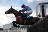 Horse racing betting tips today: Cheltenham latest odds and runners