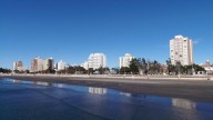Mucho más que ballenas: te contamos qué otras actividades podes hacer en Puerto Madryn