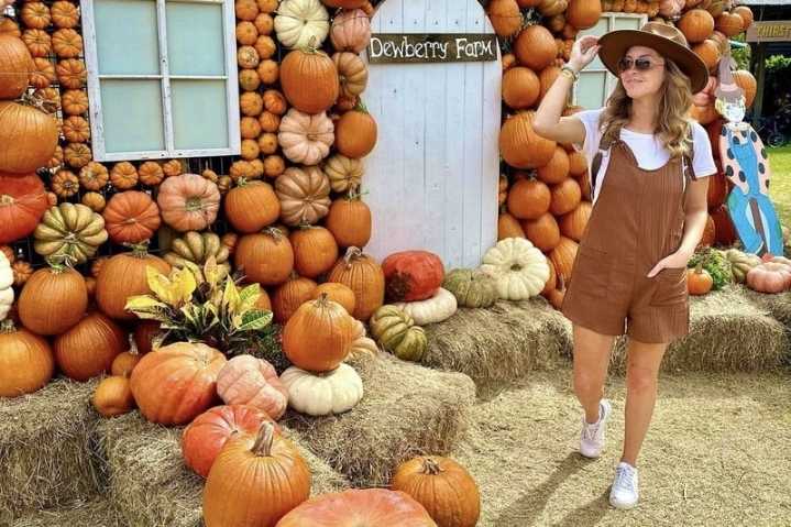 Dewberry Farms bringing fall fun to the ...
