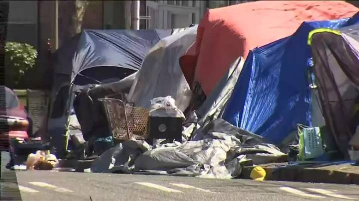 Tacoma considering expanding camping ban to parks, playgrounds, libraries