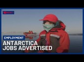 Jobs In Antarctica Available For Aussies Who Are Willing To Face Extreme Climate