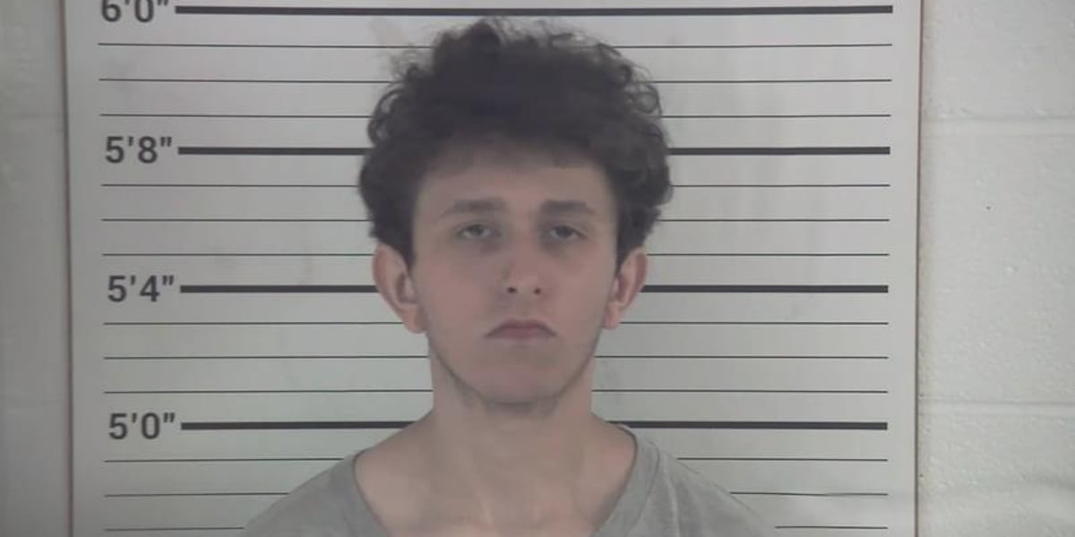 Police: 19-year-old charged in apartment stabbing