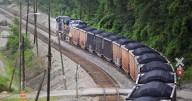 CSX reports earnings decrease despite improvement in coal business