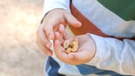 Advice to feed babies peanuts early and often helped 60,000 kids avoid allergies, study finds