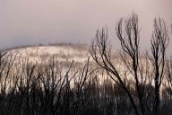Bodies of 2 Women Discovered in Frigid Australian Wilderness