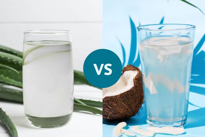 Aloe Vera Juice vs. Coconut Water: Which Is Better for Hydration and Nutrients?
