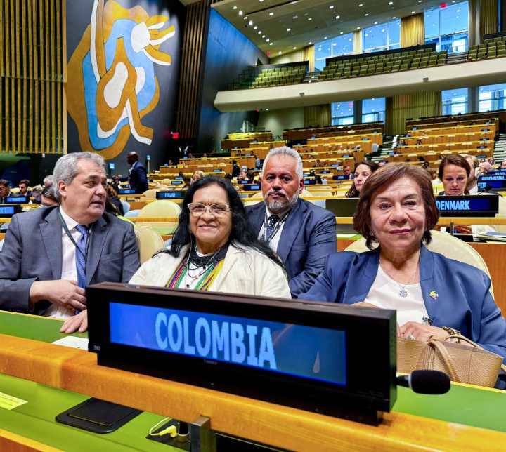 Canciller (e) refuerza el liderazgo internacional de Colombia en la ONU