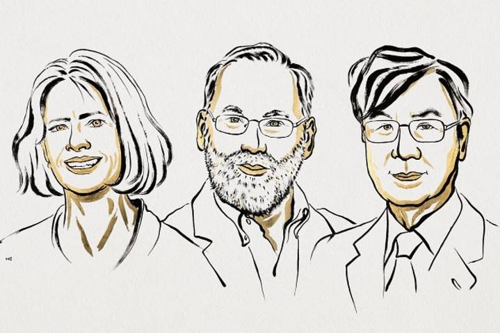 Nobel Prize 2025: Three scientists get Physiology or Medicine award for their discovery of our body’s “security guards”