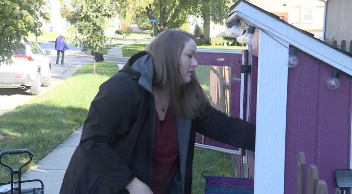 'Spread a little kindness': Neighbors, businesses convert libraries into food pantries