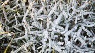 Frost advisory in effect for Chicago area; freeze warning next