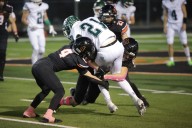 Tigers Fight to the Final Inch in Season