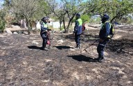Tafí del Valle: sofocan incendio que se propagaba hacia casas de veraneantes en La Quebradita