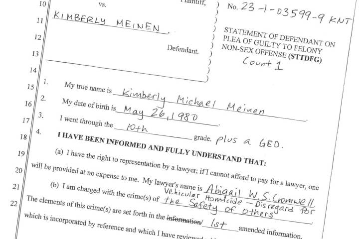 Guilty plea made in 2023 fatal hit and run