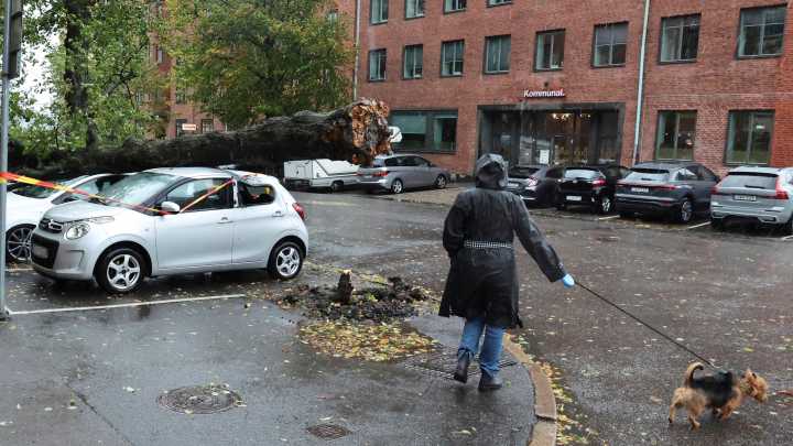 Storm Amy A Killer In Ireland As Storm Blasts Northern Europe