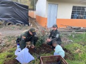 En el Tambo, Nariño, policías llevaron a cabo una jornada de siembra de árboles