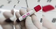 Mass cull ordered near Berlin as Germany battles bird flu