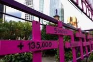 Sin voluntad política no hay garantía de derechos para mujeres: Cladem