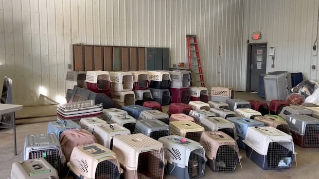 Nearly 300 animals surrendered from northern Alberta rescue operation: RCMP