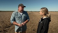 Struggling soybean farmer: ‘This is a man-made crisis caused by Donald Trump’