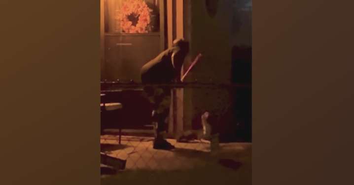 Dallas police investigate animal cruelty after video shows woman beating dog