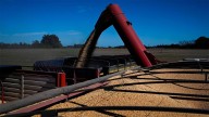 La balanza comercial arrojó un superávit de USD 900 millones en septiembre