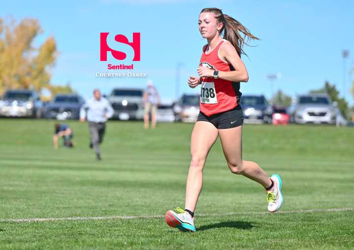 Cross Country: 2025 Class 5A/4A/3A/2A Aurora regional fields, schedule