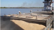 Cuánto creció la operatoria de los puertos públicos y cuál batió récords en Santa Fe