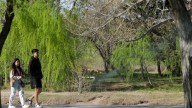 Clima en Neuquén: se vienen tres días de calor primaveral