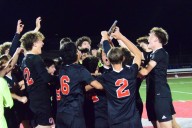 BOYS SOCCER: Divine Child pitches shutout of Lamphere to hoist D2 district title