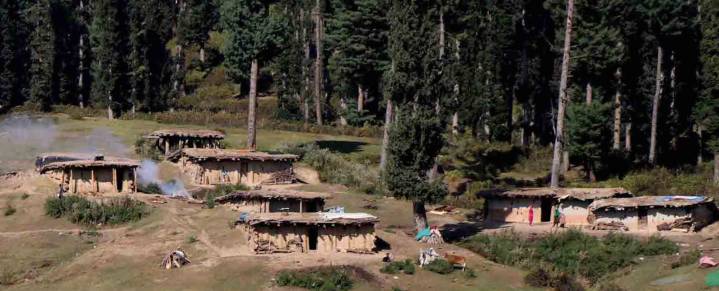 19,501 Hectares of Forest Land Under Encroachment Across Jammu Kashmir