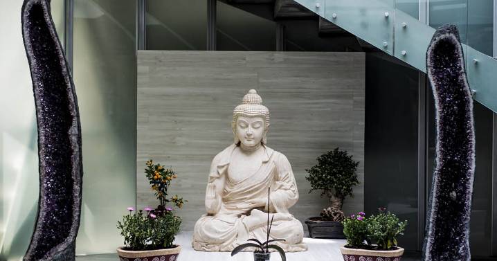 Formar para el futuro: cómo Mandala Academy impulsa la capacitación profesional en México