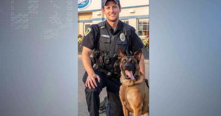 Injured Madison officer reunited with K9 partner