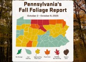 Fall foliage this week is ‘a vibrant color shift’ across Pa.: Here’s where to see the best view