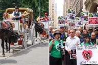 Central Park visitors support horse carriage rides, oppose NYC's ban: poll