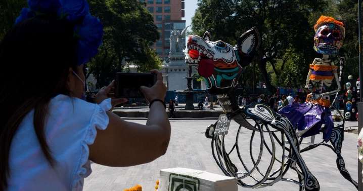 Día de las mascotas fallecidas: cómo hacer una ofrenda para los animales en Día de Muertos