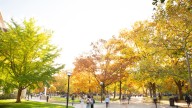 Arrivals of international students to the US dropped almost a fifth in August, data shows