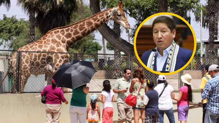 Guido Bellido propone eliminar todos los zoológicos a nivel nacional