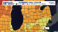 Fall foliage update | Peak fall colors expected in one to two weeks