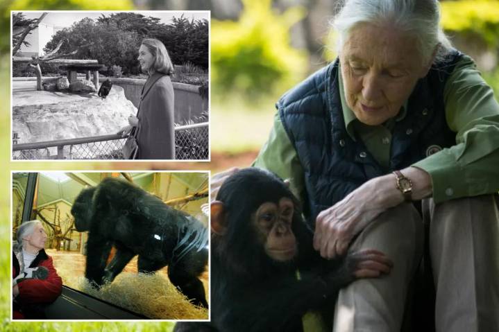 Jane Goodall's cause of death revealed