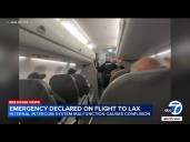 Pilots thought someone was trying to break into cockpit during LAX
