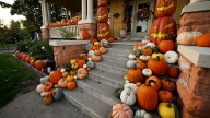 Pumpkins: More Than Just Jack