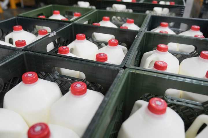 States worry about how to fill the gap in food aid ahead of a federal benefits halt