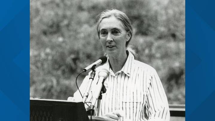 North Carolina Zoo responds to the passing of Dr. Jane Goodall