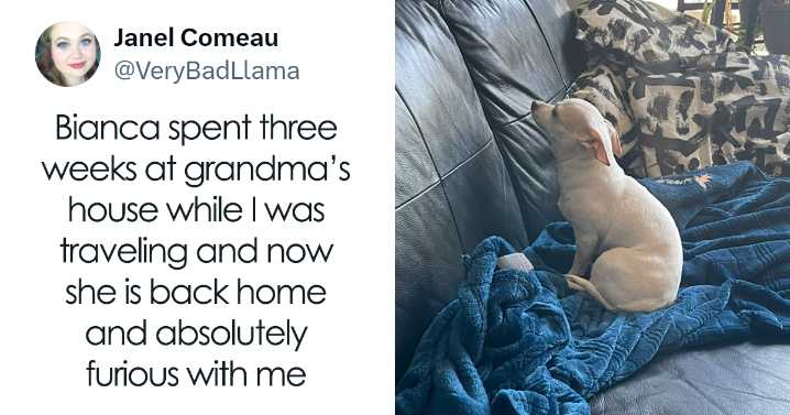 26 Of The Funniest Posts Cat And Dog Owners Shared This Month