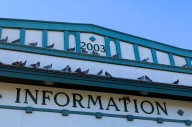 Tourism Moose Jaw seeking emergency funding at tonight’s council meeting
