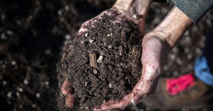 In Albuquerque, spoiled food gets a second life as compost in ambitious recycling program