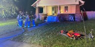 Two dogs rescued after fire at Hastings home